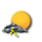 icon_vento